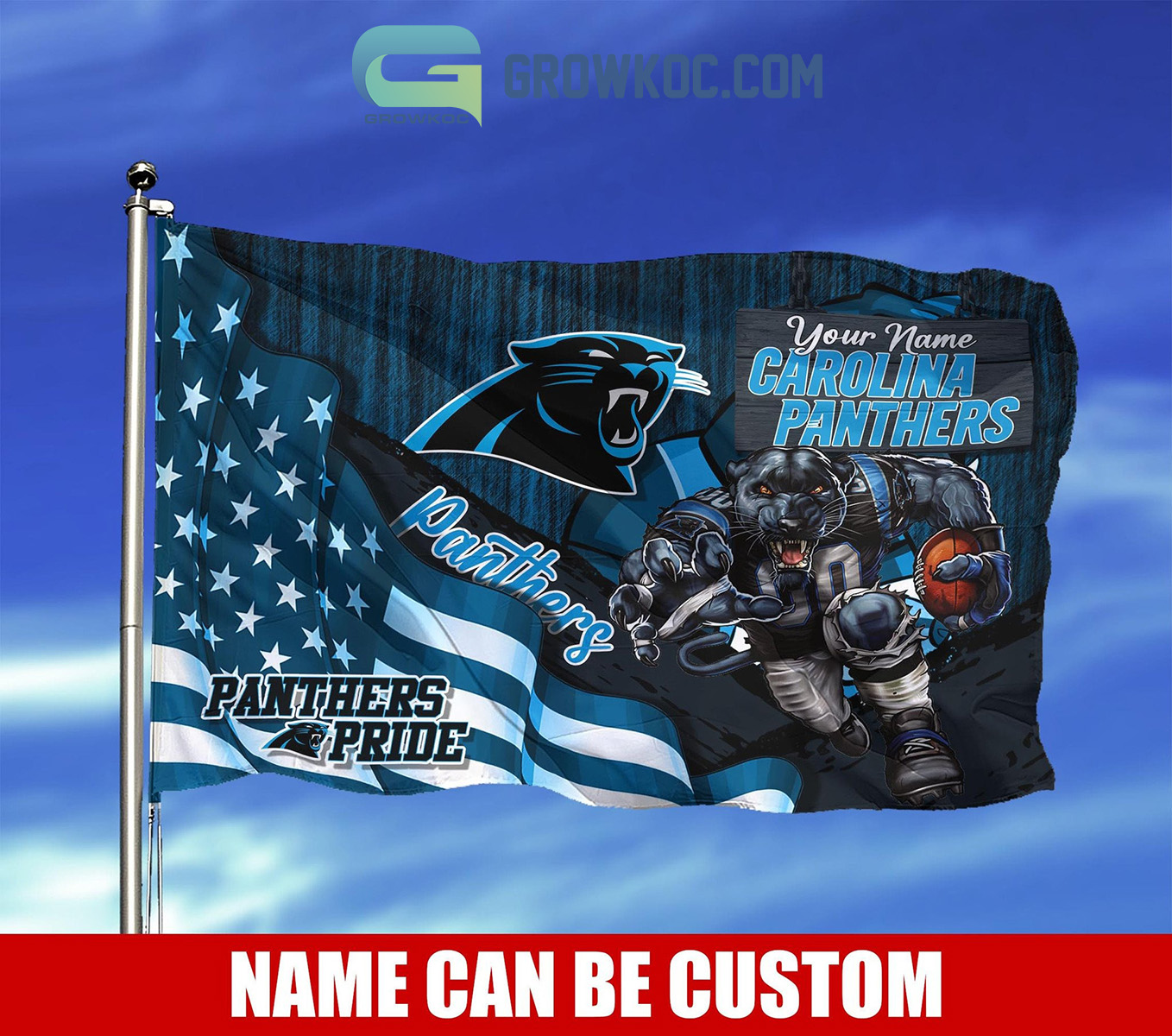 Carolina Panthers NFL Mascot Slogan American House Garden Flag2B1 Alhgm