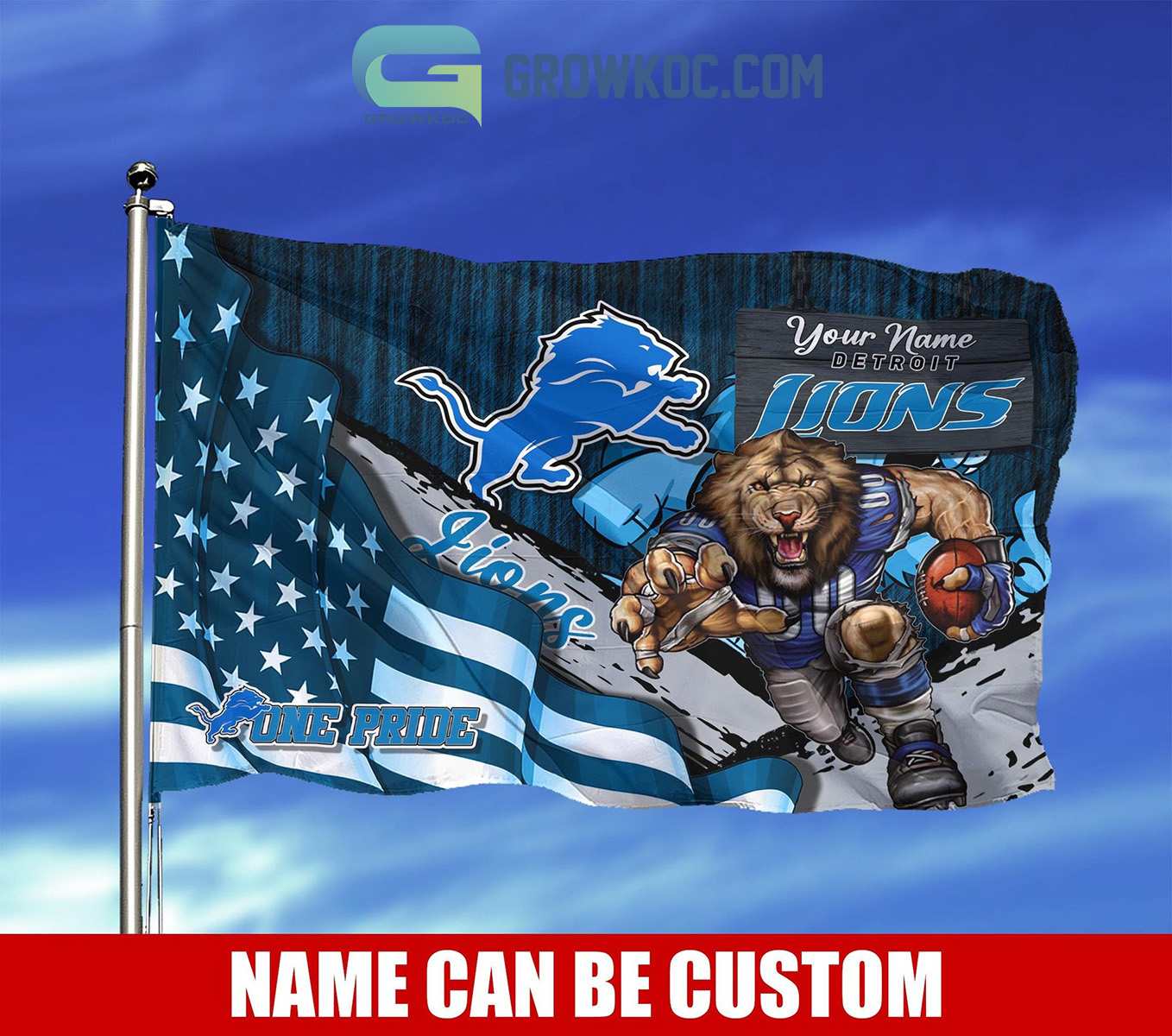 Detroit Lions NFL Mascot Slogan American House Garden Flag2B1 EsbAm