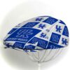Kentucky Wildcats3